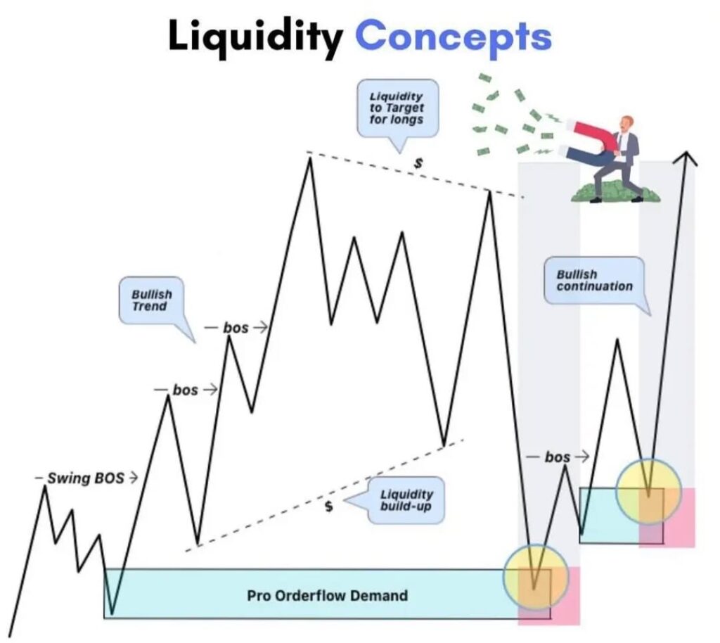 explains the Liquidity Concepts 