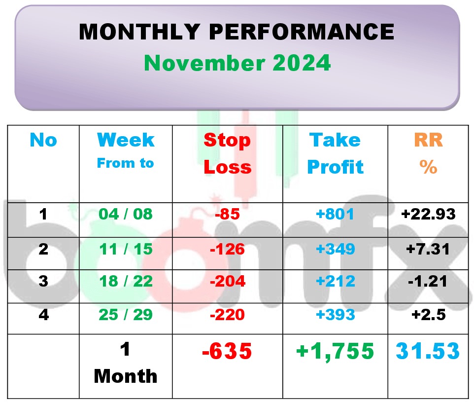 Nov report 2024